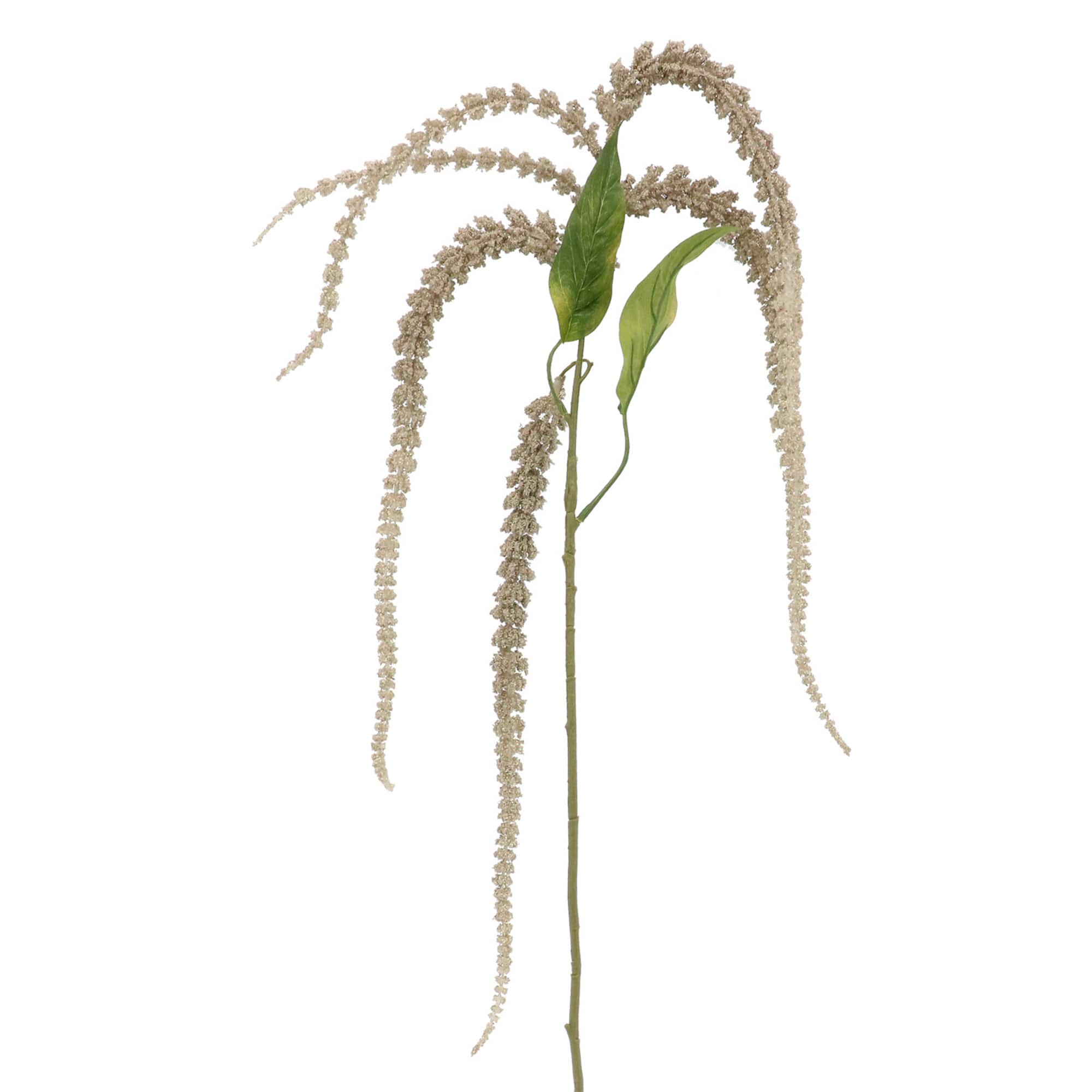 Gray Amaranthus Stem by Ashland®